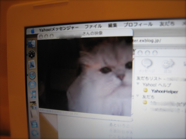 c0120817_384480.jpg