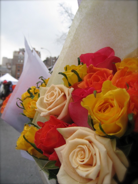 c0120817_8231565.jpg