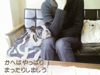 e0080117_2152371.gif