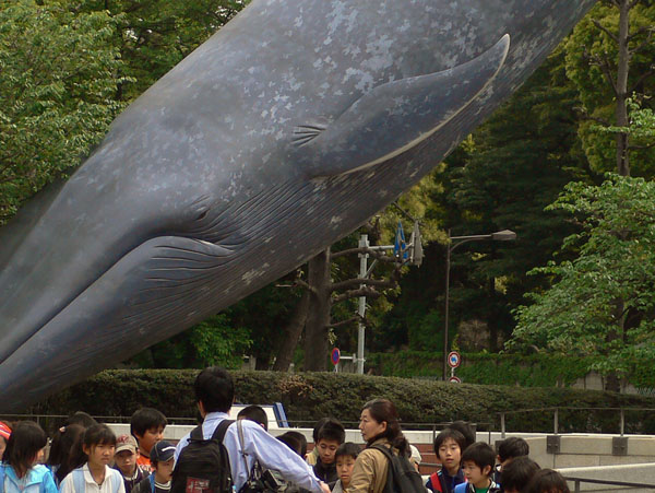 a0046429_14194517.jpg
