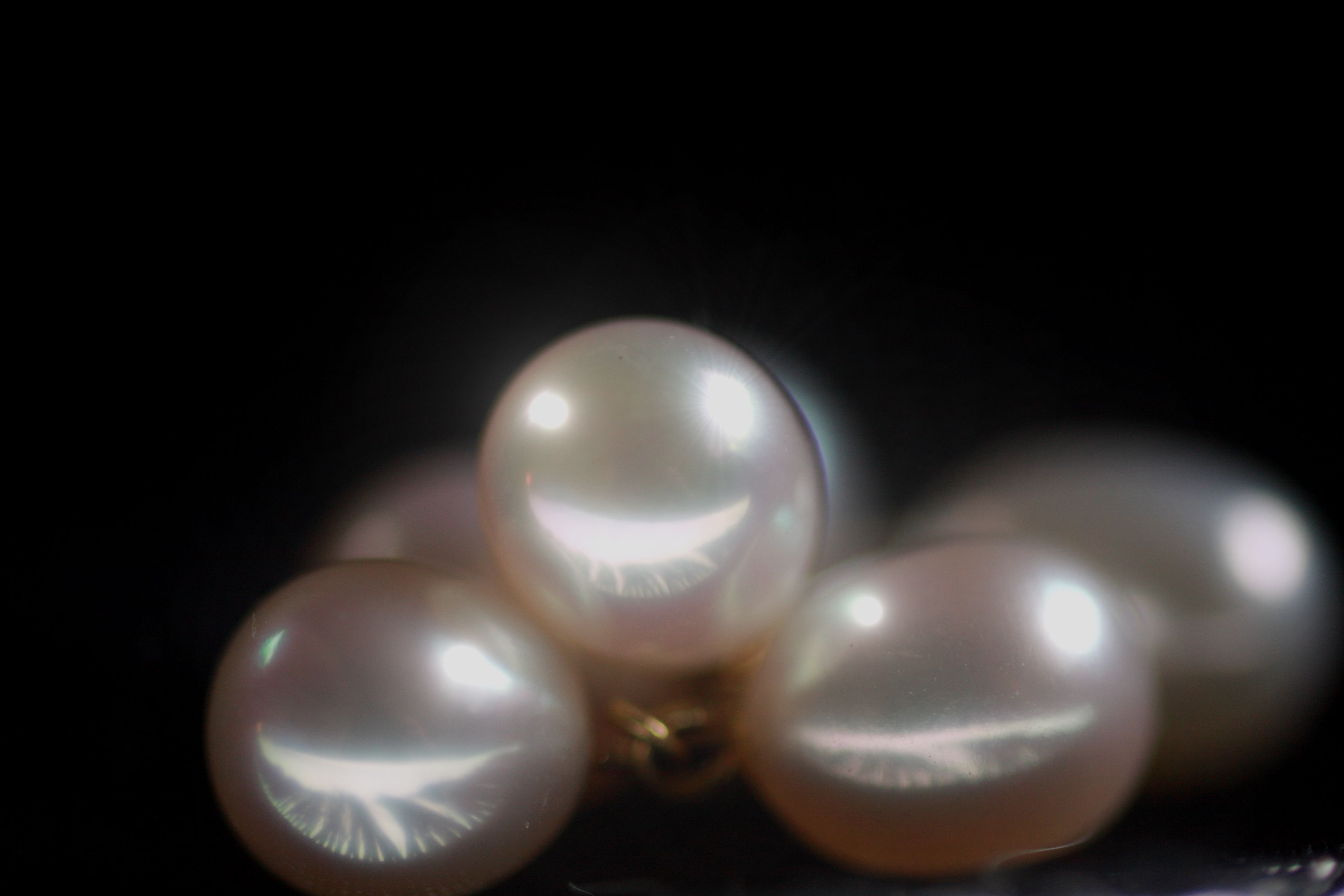 c0136933_20154450.jpg