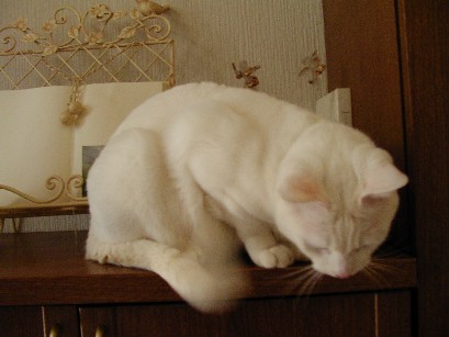 f0002833_0213671.jpg