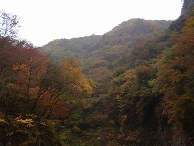 b0042334_221452.jpg