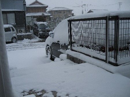 f0051638_1610181.jpg