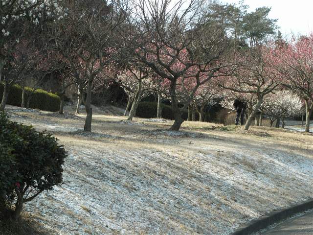 b0102639_21121738.jpg