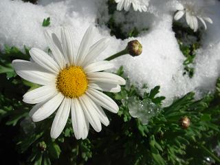 e0057640_1711927.jpg