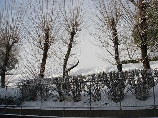 e0057640_1772275.jpg