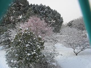 e0057640_1793586.jpg