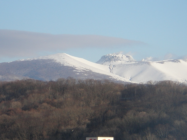c0153444_17585478.jpg