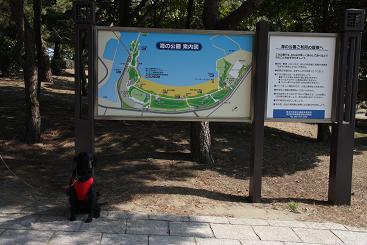 f0107145_12515654.jpg