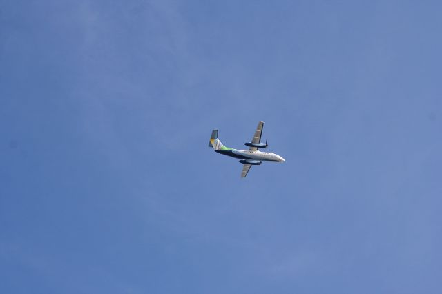 e0129046_933128.jpg