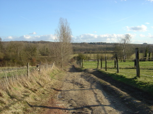 b0117348_615894.jpg