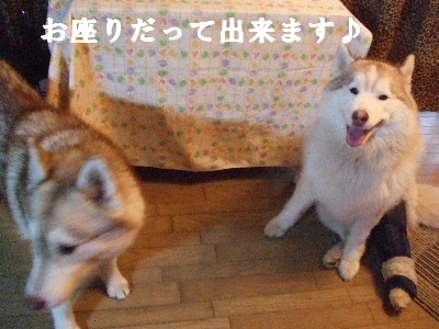e0121548_20502793.jpg