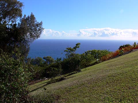 e0050753_18133046.jpg