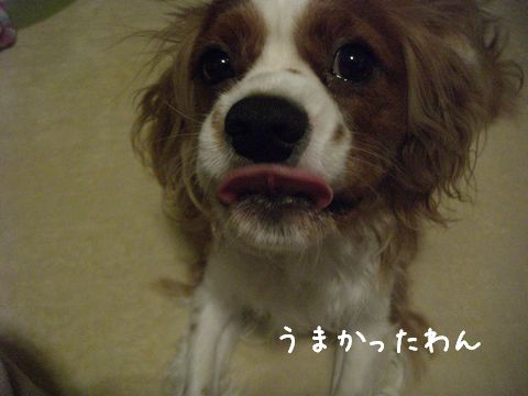 f0158956_0315422.jpg