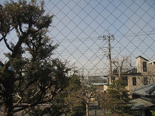 c0127058_11193855.jpg