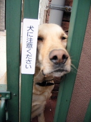 f0043559_1835259.jpg