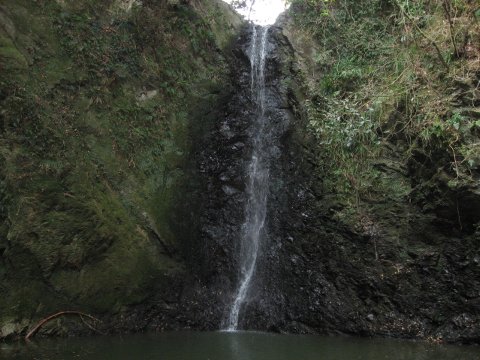 f0088864_7191898.jpg