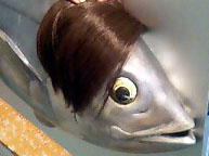 f0099367_1625460.jpg