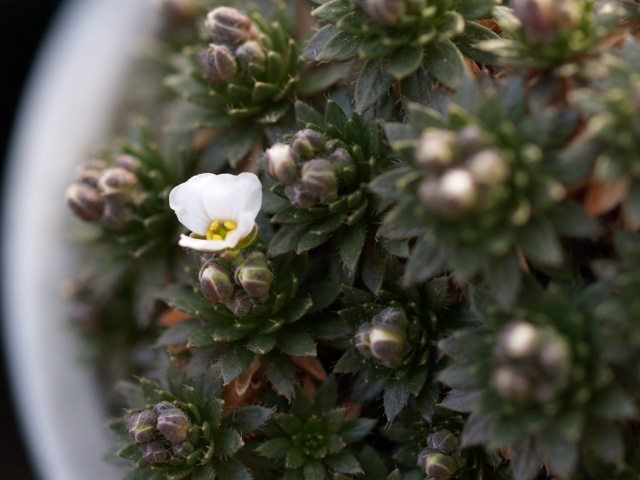 d0025568_184951100.jpg