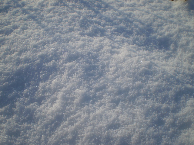 e0117976_13251168.jpg