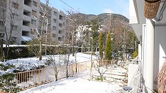 b0042882_23445910.jpg
