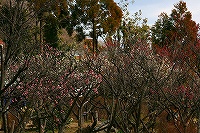 b0073782_17274427.jpg