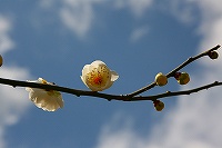 b0073782_17292028.jpg
