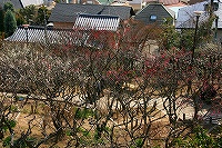 b0073782_17313171.jpg