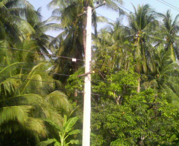 c0059383_15391441.jpg