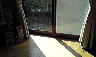 c0125283_1840371.jpg