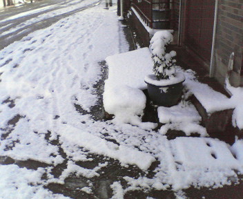c0109891_1431197.jpg