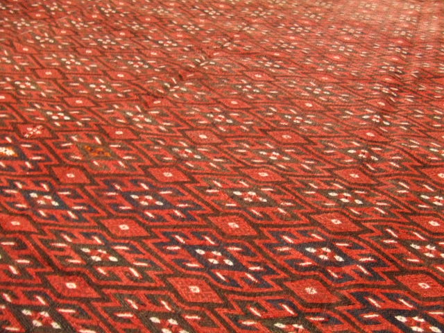 f0140491_1265442.jpg