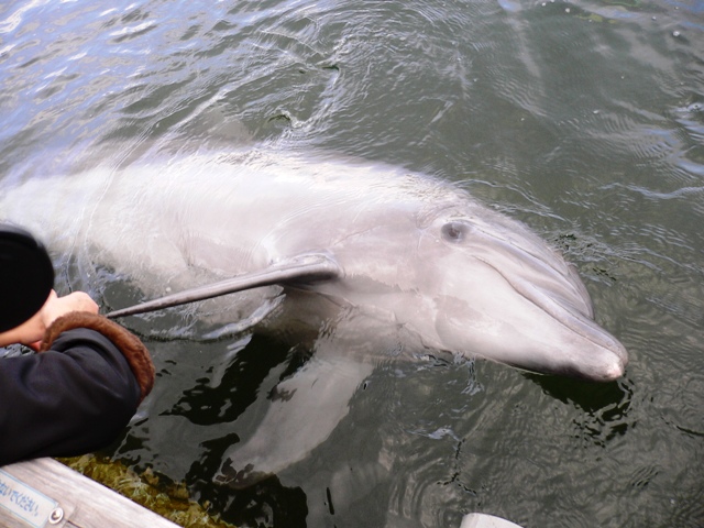 e0126594_11581126.jpg