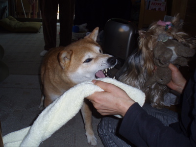 f0130894_2183221.jpg