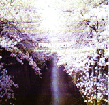 c0049495_165230.jpg
