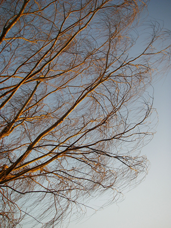 d0045295_2352524.jpg