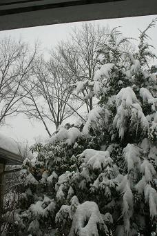 c0133498_5584646.jpg