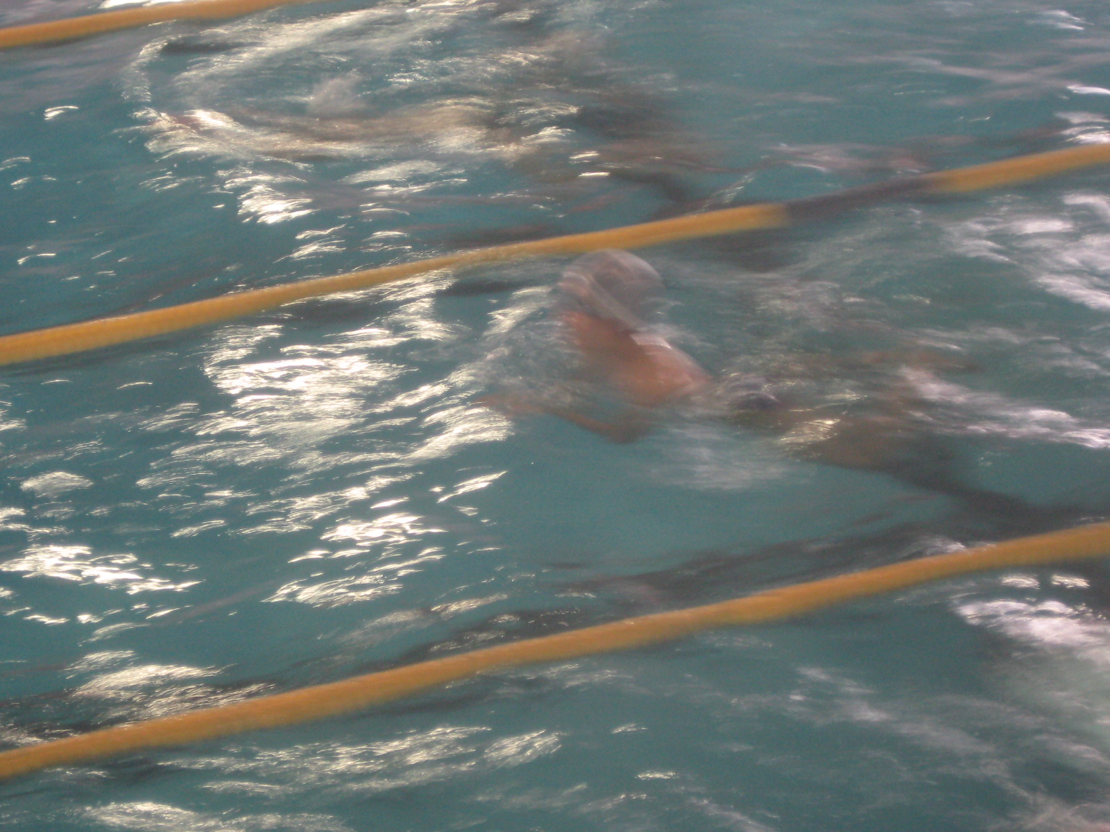 f0013998_916652.jpg