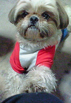 e0040602_21574693.jpg