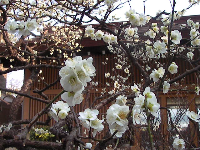 f0038407_7154382.jpg