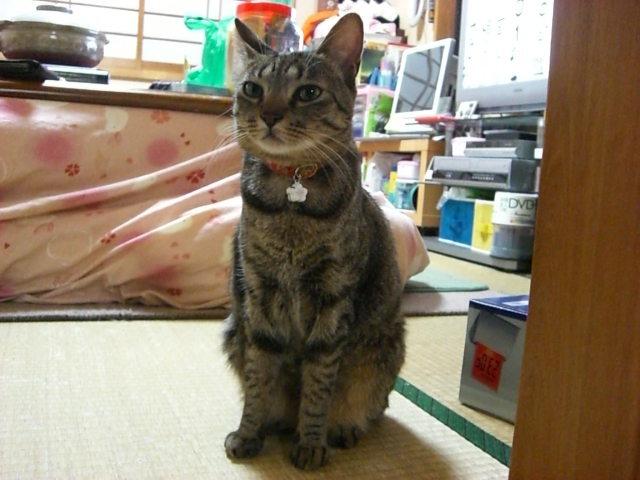 e0129411_18202237.jpg