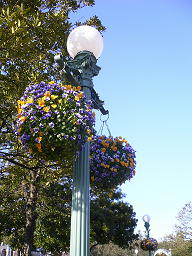 c0101913_2338723.jpg