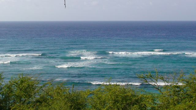 f0116314_1815322.jpg