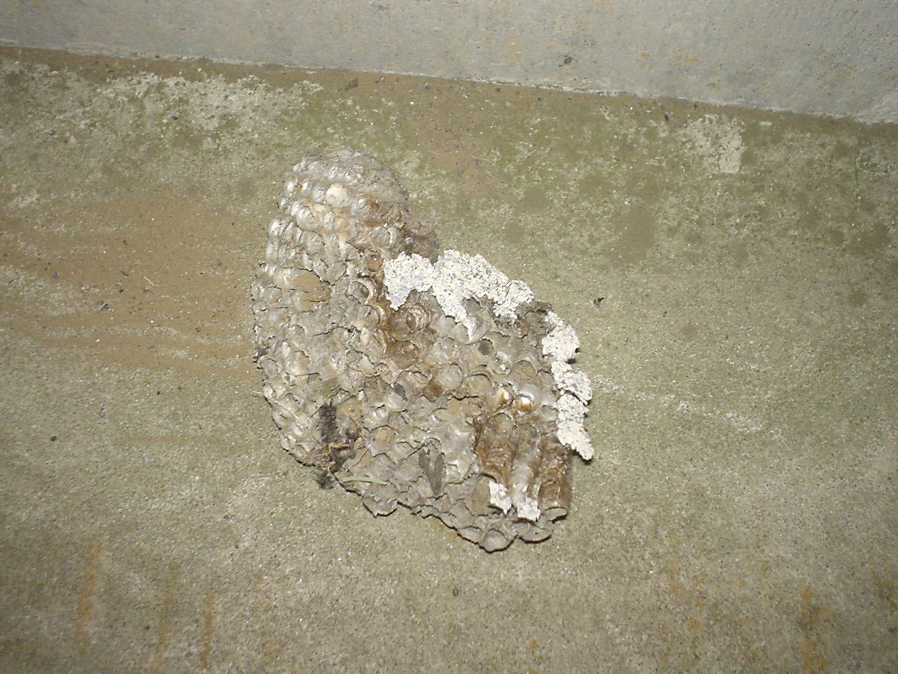 c0150520_21312139.jpg