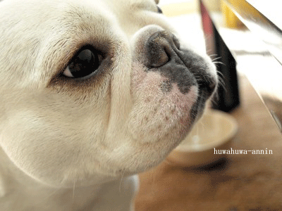 f0155120_170462.gif