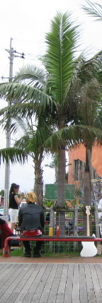 f0107724_2371545.jpg