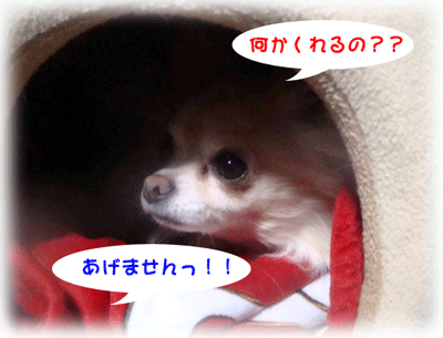 b0078030_1134010.gif