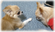 b0078030_181992.gif