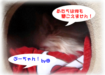 b0078030_191656.gif